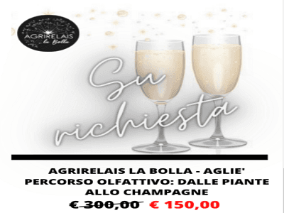 Olfactory Path: from Plants to Champagne