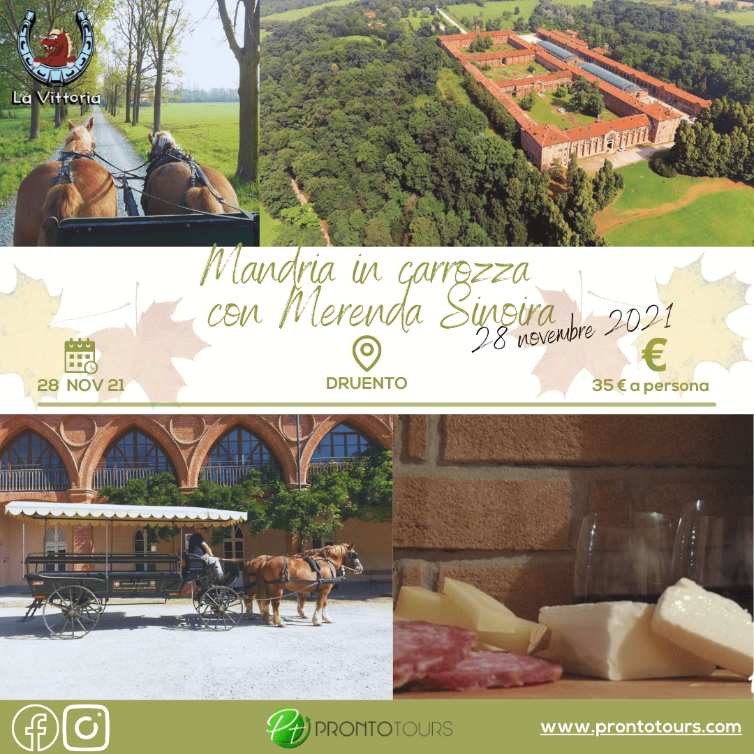 Carriage Ride at La Mandria with Merenda Sinoira