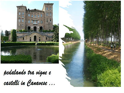 Cycling through Vineyards & Castles