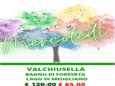 Valchiusella Forest Therapy